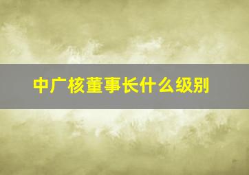 中广核董事长什么级别