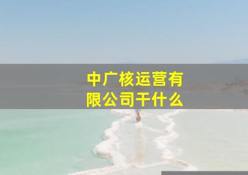 中广核运营有限公司干什么