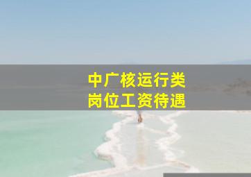 中广核运行类岗位工资待遇