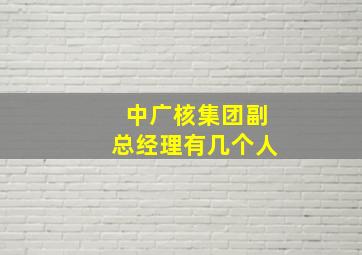 中广核集团副总经理有几个人