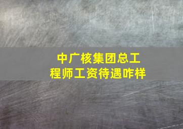 中广核集团总工程师工资待遇咋样