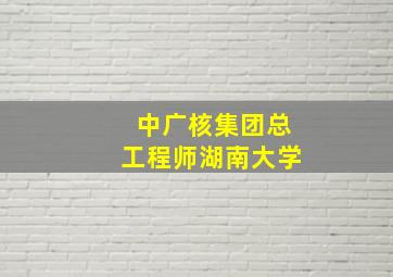 中广核集团总工程师湖南大学