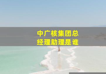 中广核集团总经理助理是谁