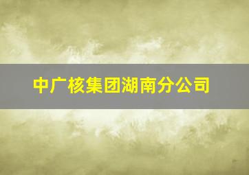 中广核集团湖南分公司