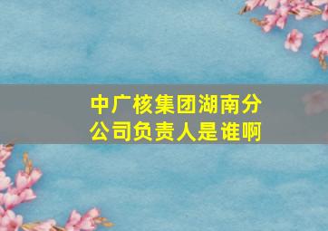 中广核集团湖南分公司负责人是谁啊