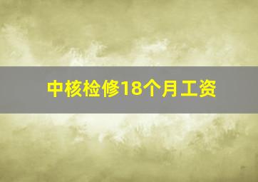 中核检修18个月工资