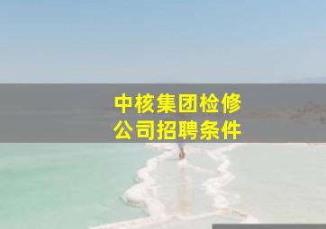 中核集团检修公司招聘条件