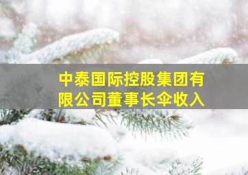 中泰国际控股集团有限公司董事长伞收入