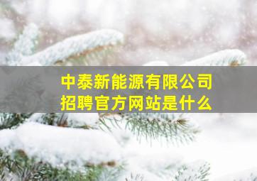 中泰新能源有限公司招聘官方网站是什么