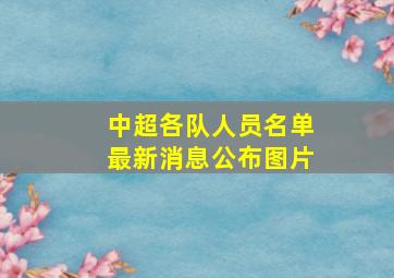 中超各队人员名单最新消息公布图片