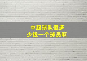 中超球队值多少钱一个球员啊