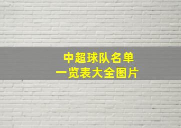 中超球队名单一览表大全图片