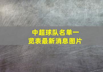 中超球队名单一览表最新消息图片