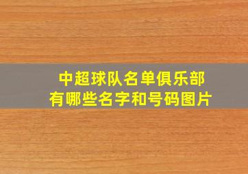 中超球队名单俱乐部有哪些名字和号码图片