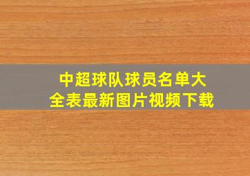 中超球队球员名单大全表最新图片视频下载