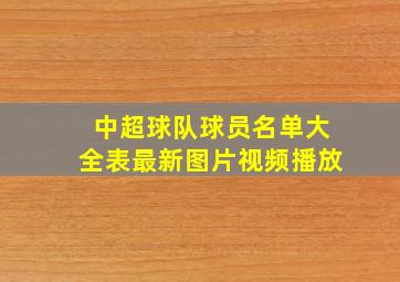 中超球队球员名单大全表最新图片视频播放