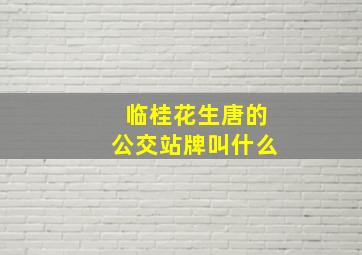 临桂花生唐的公交站牌叫什么