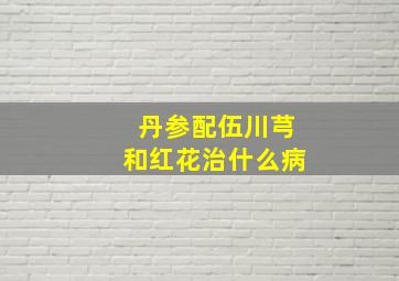 丹参配伍川芎和红花治什么病