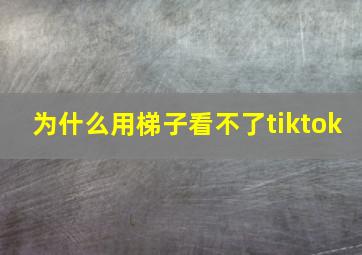 为什么用梯子看不了tiktok