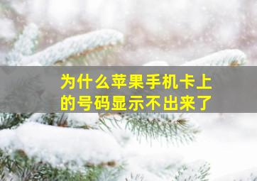 为什么苹果手机卡上的号码显示不出来了