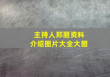 主持人郑丽资料介绍图片大全大图