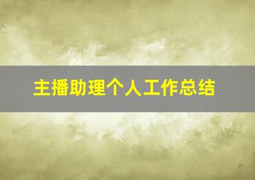 主播助理个人工作总结