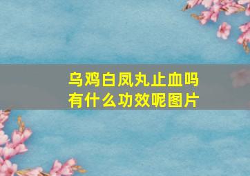 乌鸡白凤丸止血吗有什么功效呢图片