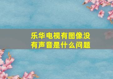 乐华电视有图像没有声音是什么问题