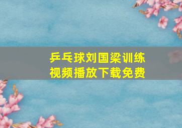 乒乓球刘国梁训练视频播放下载免费