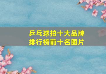 乒乓球拍十大品牌排行榜前十名图片