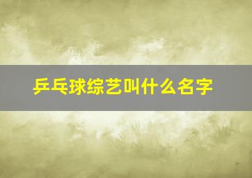 乒乓球综艺叫什么名字