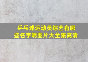 乒乓球运动员综艺有哪些名字呢图片大全集高清