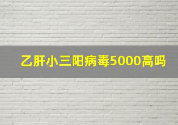 乙肝小三阳病毒5000高吗