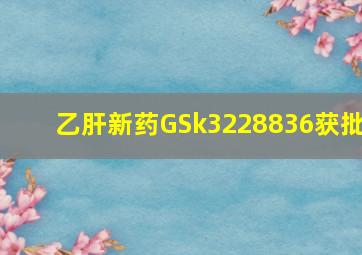 乙肝新药GSk3228836获批