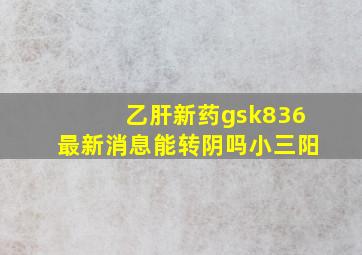 乙肝新药gsk836最新消息能转阴吗小三阳