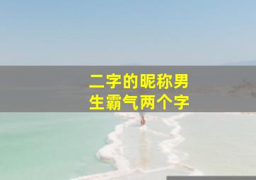 二字的昵称男生霸气两个字