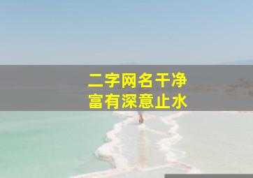 二字网名干净富有深意止水