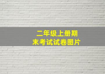 二年级上册期末考试试卷图片