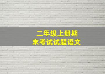 二年级上册期末考试试题语文