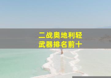 二战奥地利轻武器排名前十