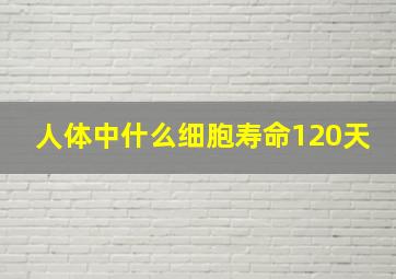 人体中什么细胞寿命120天