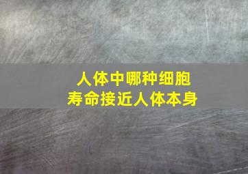 人体中哪种细胞寿命接近人体本身