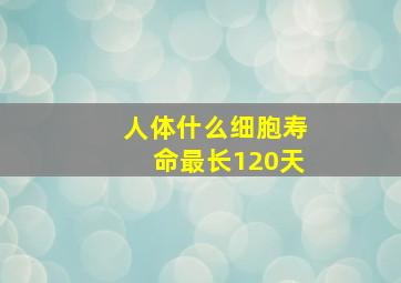 人体什么细胞寿命最长120天