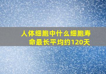 人体细胞中什么细胞寿命最长平均约120天