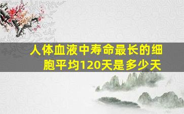 人体血液中寿命最长的细胞平均120天是多少天