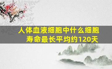 人体血液细胞中什么细胞寿命最长平均约120天