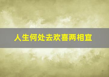 人生何处去欢喜两相宜