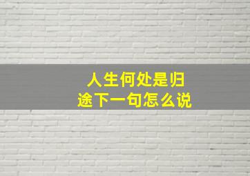 人生何处是归途下一句怎么说