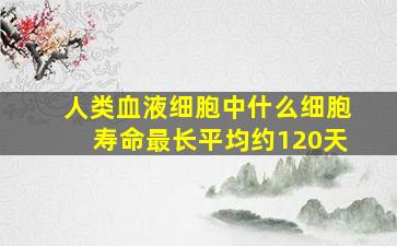 人类血液细胞中什么细胞寿命最长平均约120天