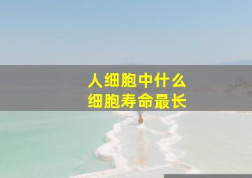 人细胞中什么细胞寿命最长